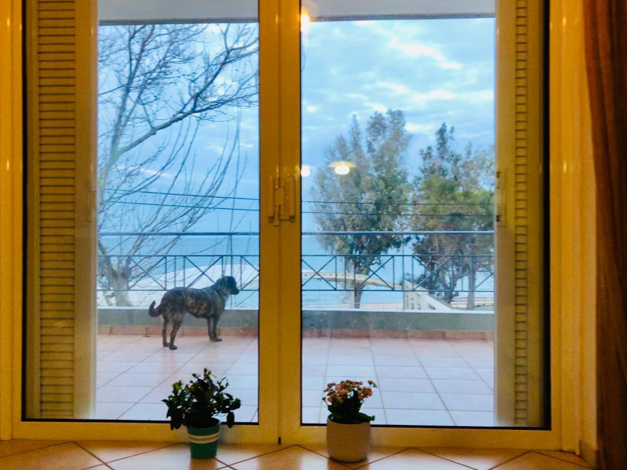 Вилла Chloe'S Sunrise Beach House Афины Экстерьер фото